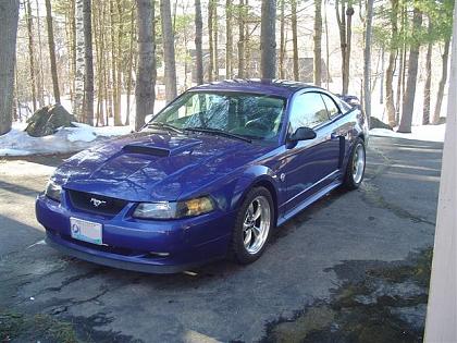 Click image for larger version

Name:	stang01 (Small).JPG
Views:	1006
Size:	72.5 KB
ID:	1093